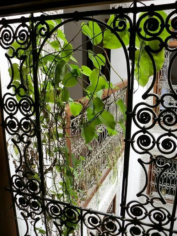 Hôtel Dar El Menia à Fès Riad